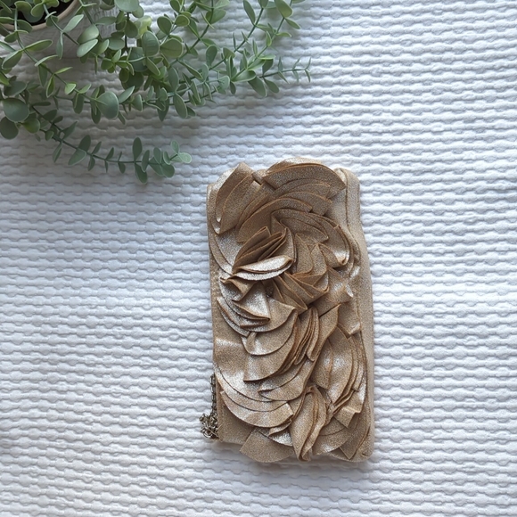 Shimmery Champagne and Silver Clutch - Picture 1 of 4